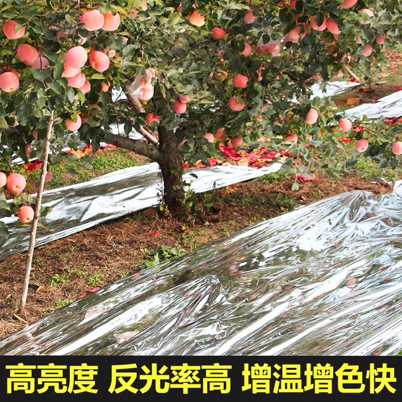 丽水市果树反光膜果树反光膜 - 推荐